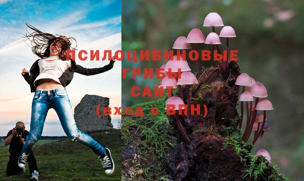 дживик Рославль