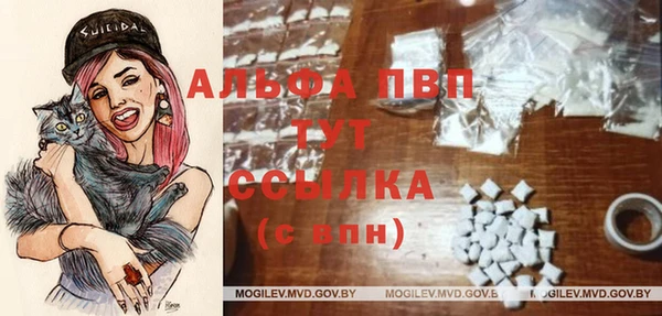 мяу мяу мука Алексин