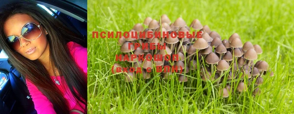 прущие крисы Абаза