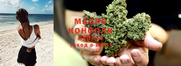 прущие грибы Алзамай