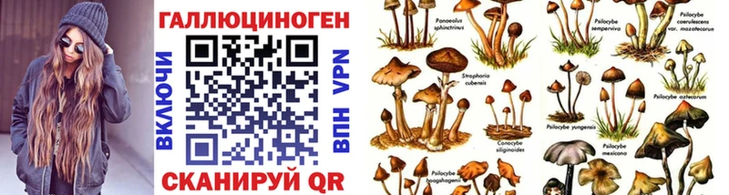 Псилоцибиновые грибы мицелий  omg сайт  это формула  Болотное 